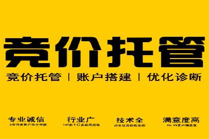 某电商平台的SEM优化全流程案例分享